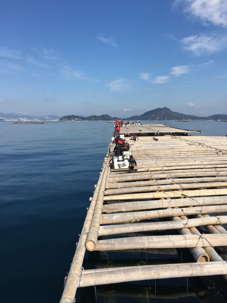 隣のイカダで竿を出す松尾君。序盤から釣果を手にします。 (2)