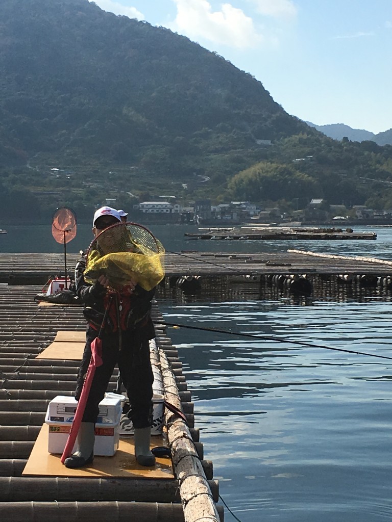 隣のイカダで竿を出す松尾君。序盤から釣果を手にします。 (1)