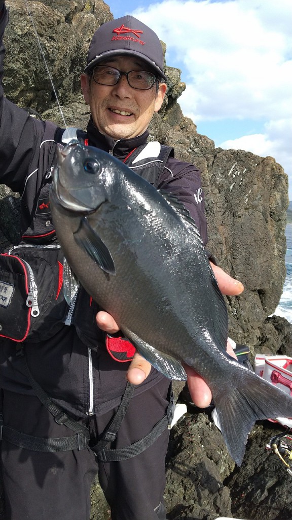 良型のクロが釣れました