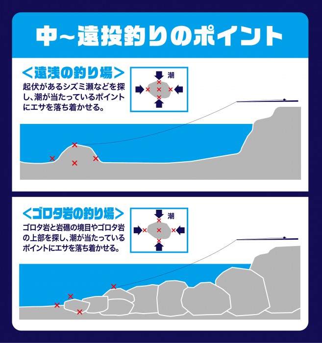 中、遠投ポイント図