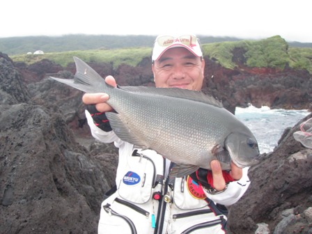 伊豆大島のメジナ