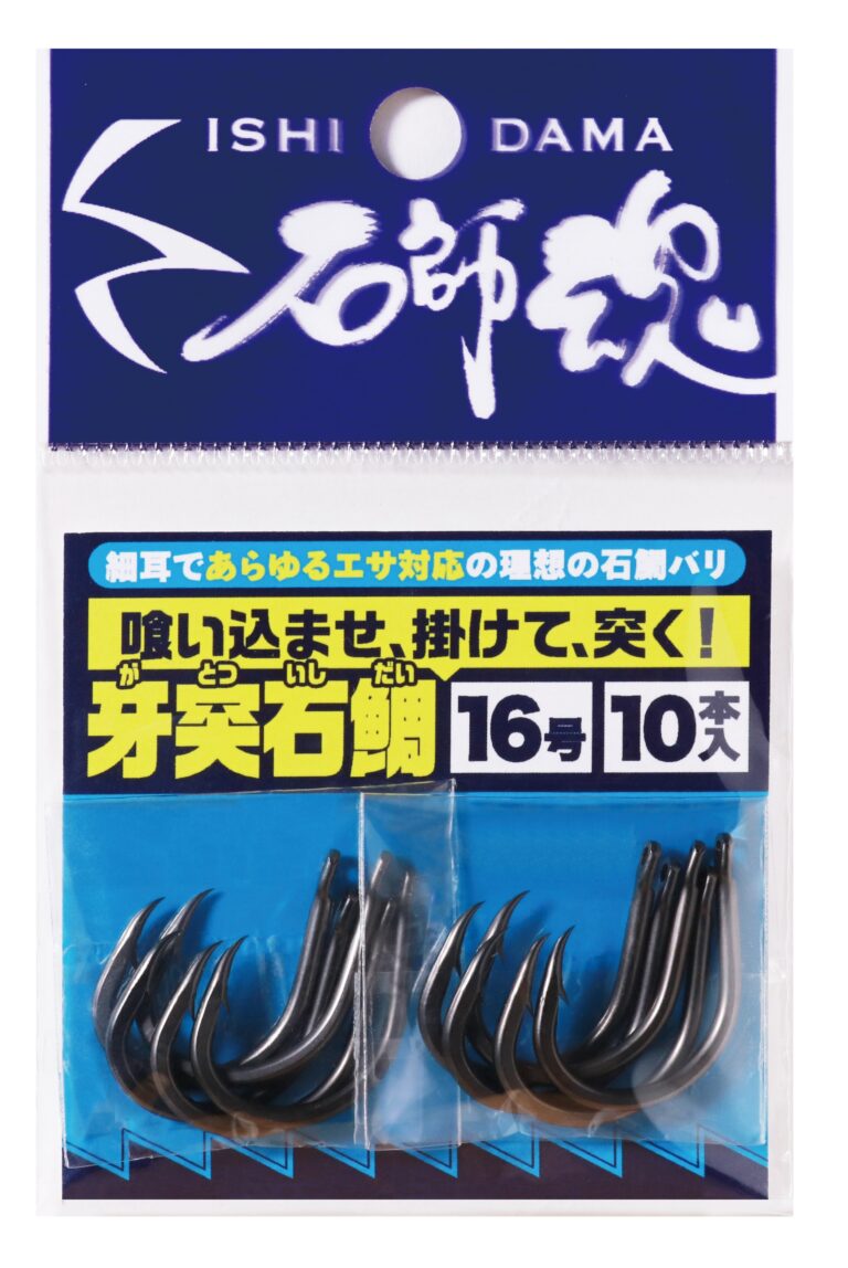 石師魂牙突石鯛 イメージ02